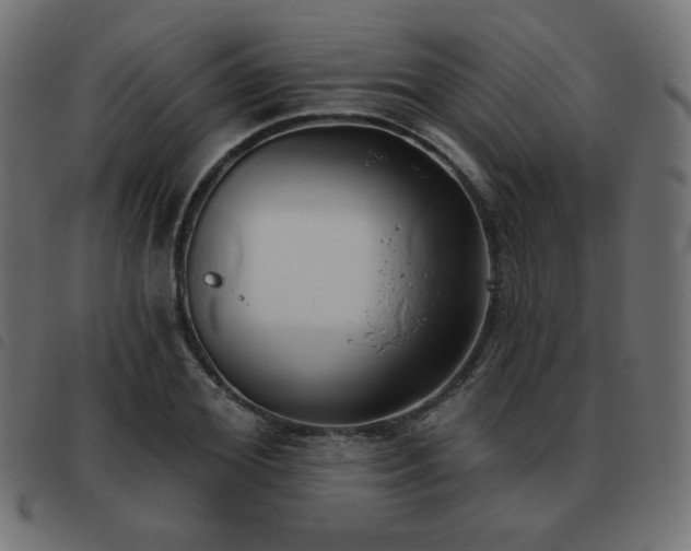 X0000093480980200710121442