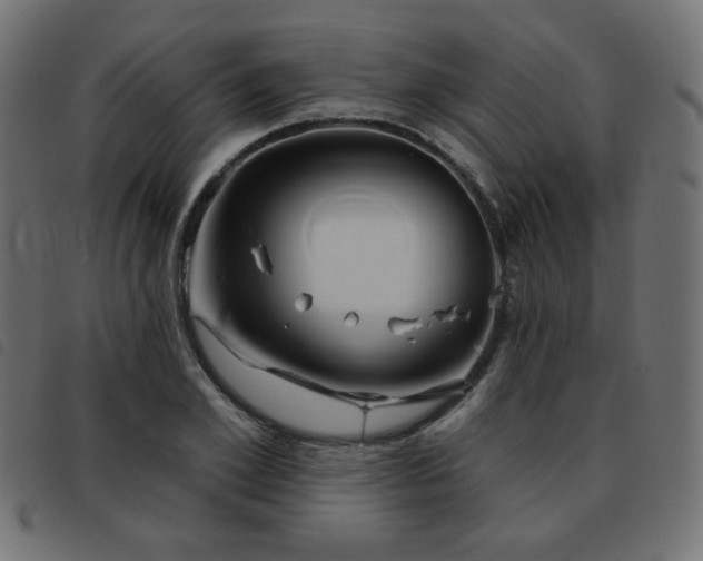 X0000093480981200710121442