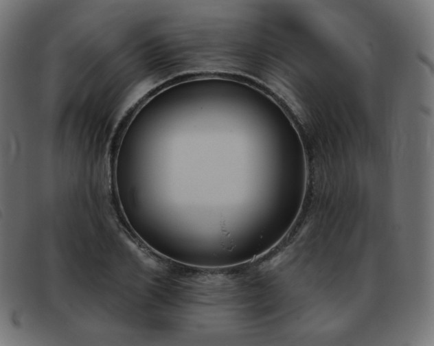 X0000093480982200710121442