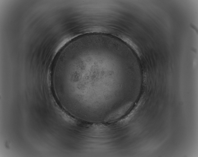 X0000093480983200710121442