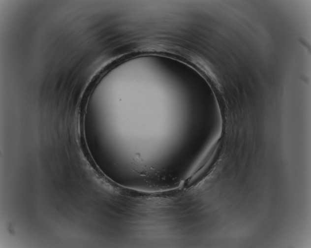 X0000093480984200710121442