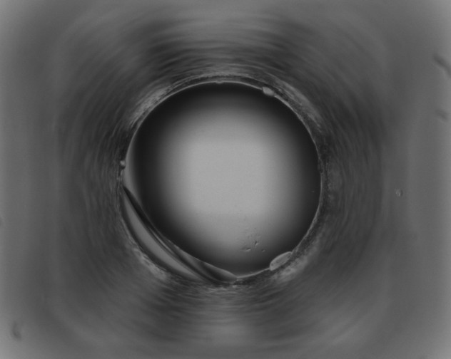 X0000093480985200710121442