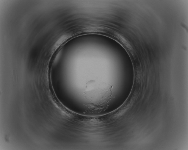 X0000093480986200710121442