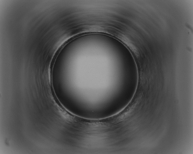 X0000093480988200710121442