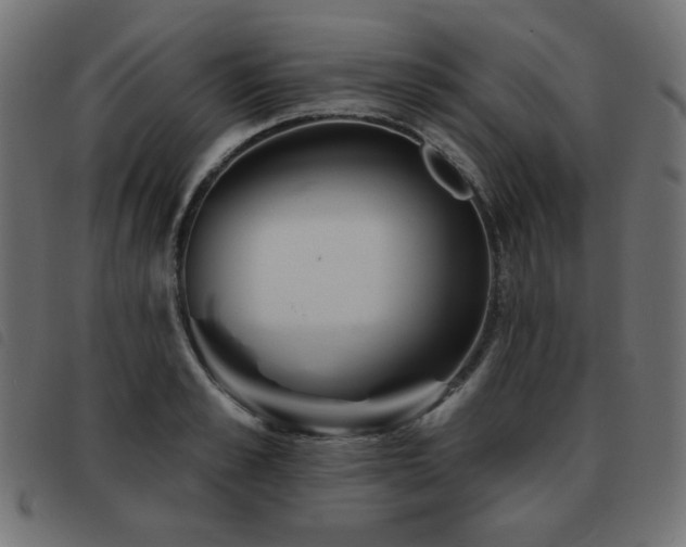 X0000093480989200710121442