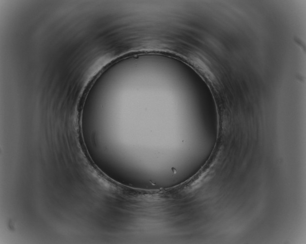 X0000093480990200710121442