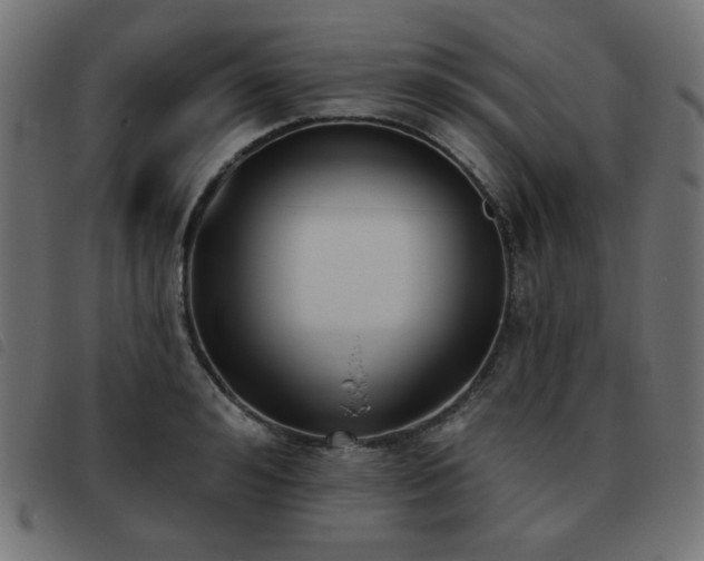 X0000093480992200710121442
