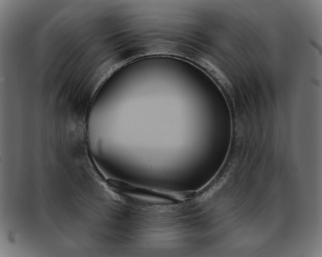 X0000093480993200710121442