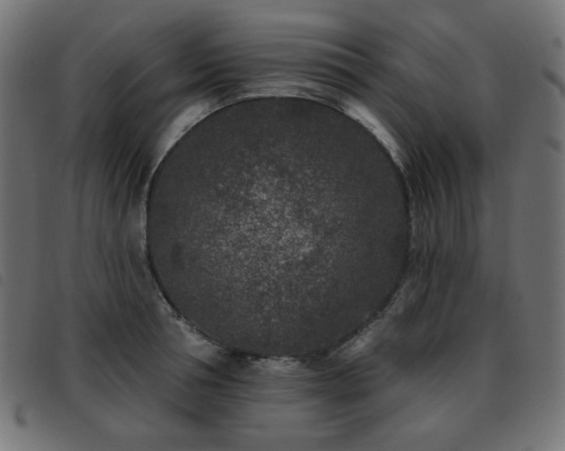 X0000093480994200710121442