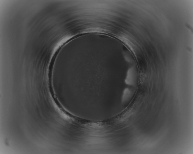 X0000093480995200710121442