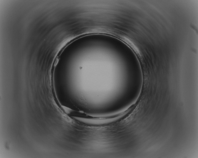 X0000093480996200710121442