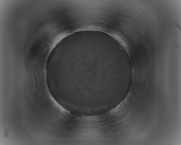 X0000093480998200710121442