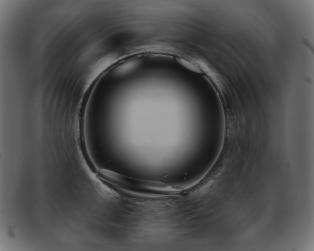 X0000093480999200710121442