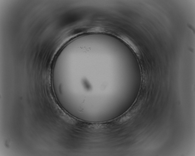 X0000093481000200710121442