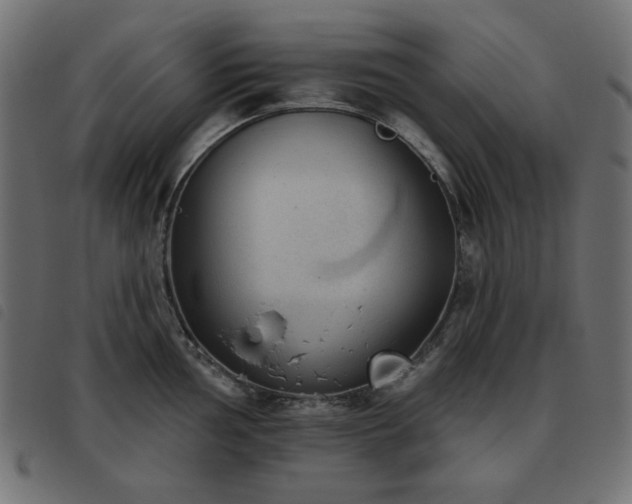 X0000093481002200710121442