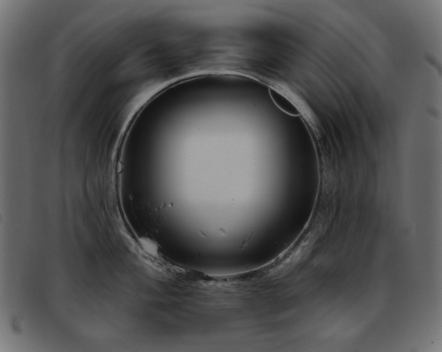 X0000093481004200710121442
