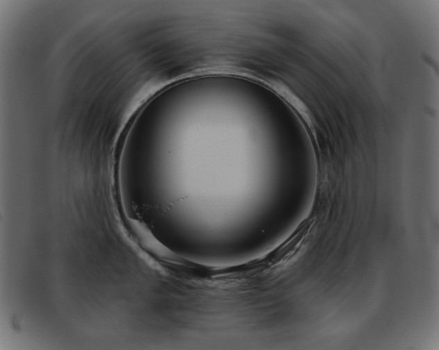 X0000093481005200710121442