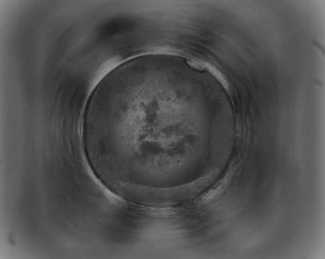 X0000093481007200710121442