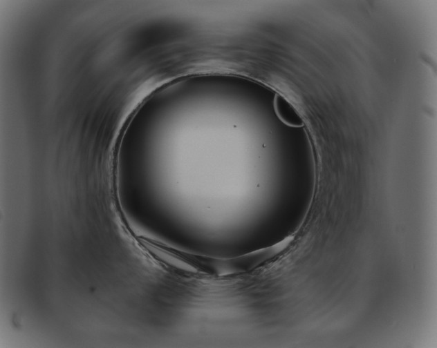 X0000093481008200710121442