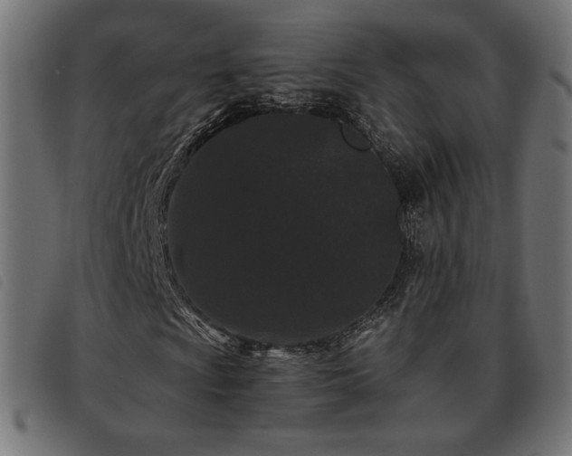 X0000093481009200710121441