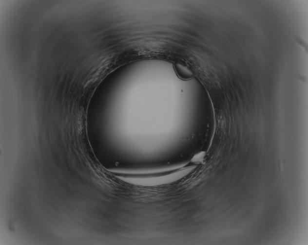 X0000093481012200710121441