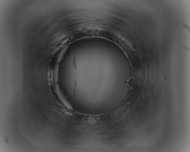 X0000093481013200710121441