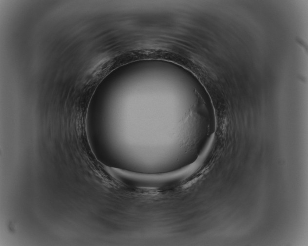 X0000093481014200710121441