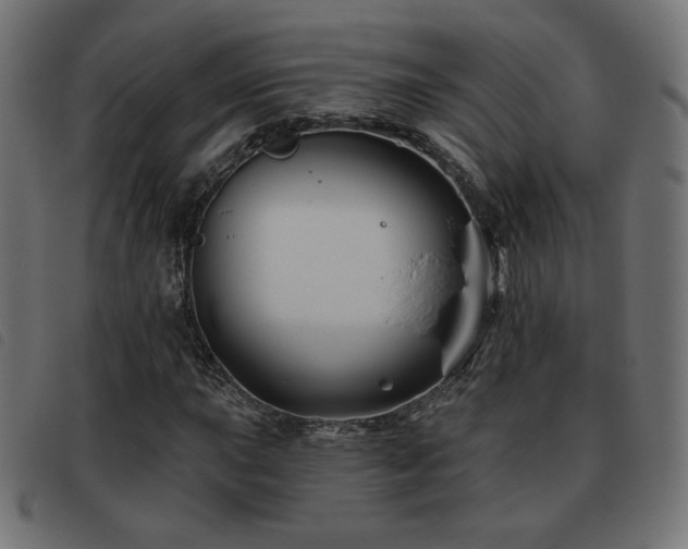 X0000093481015200710121441
