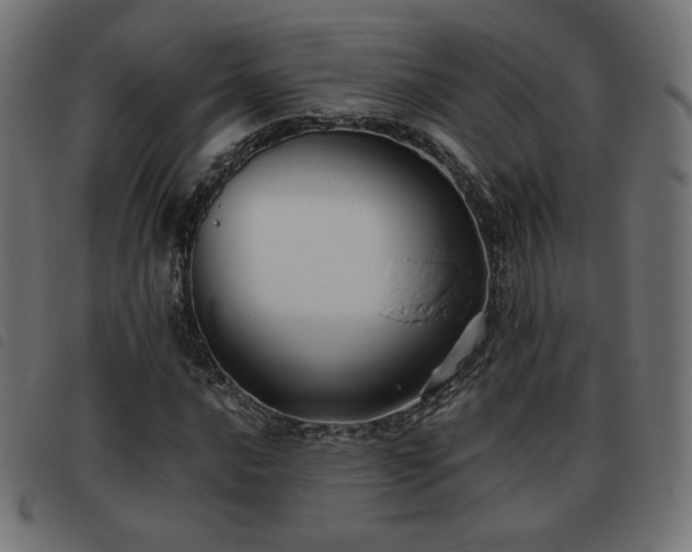 X0000093481016200710121441
