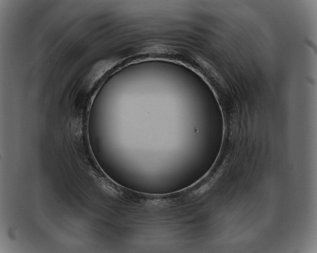 X0000093481017200710121441