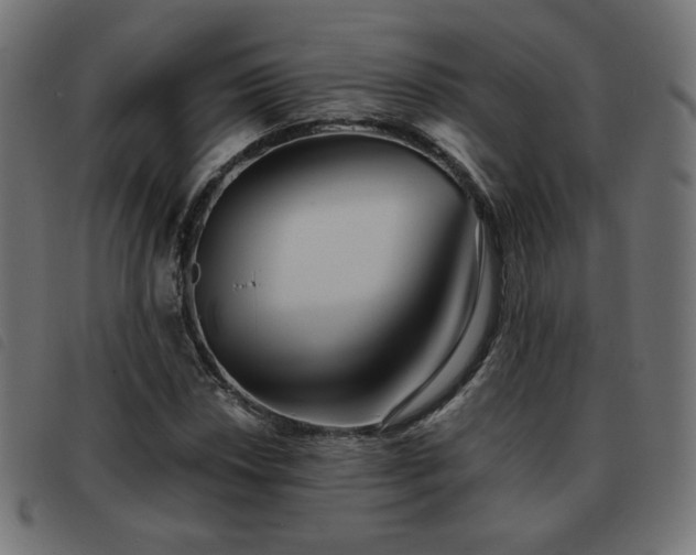 X0000093481018200710121441