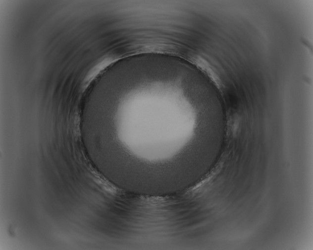 X0000093481019200710121441