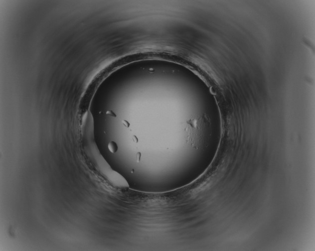 X0000093481021200710121441