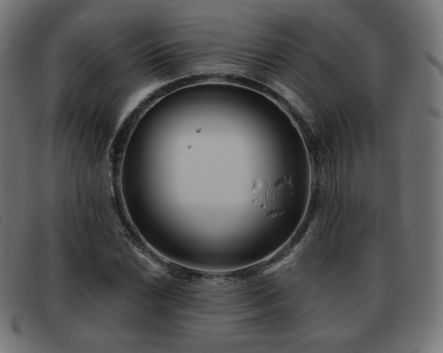 X0000093481022200710121441