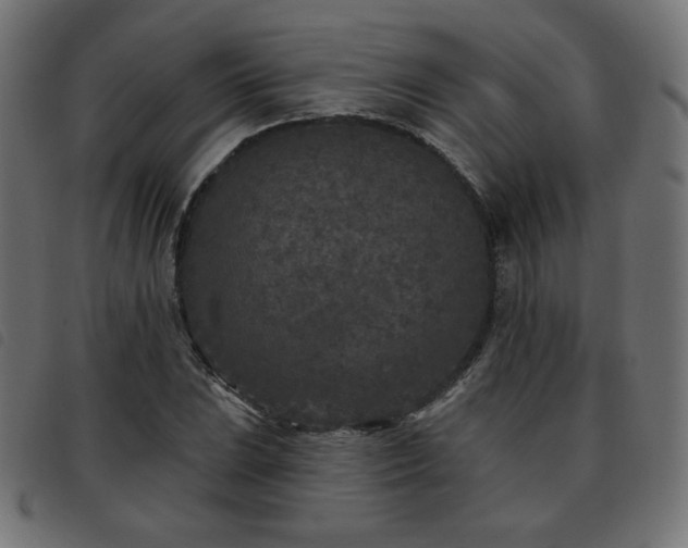 X0000093481023200710121441
