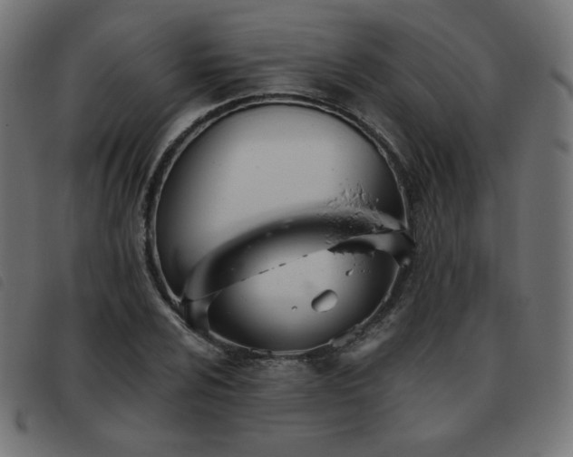 X0000093481024200710121441