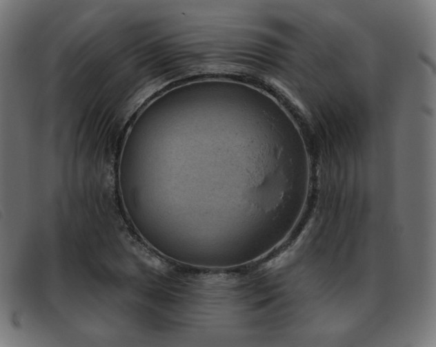 X0000093481025200710121441