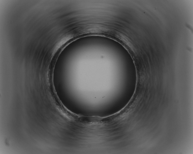 X0000093481026200710121441