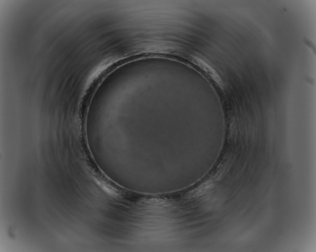 X0000093481027200710121441