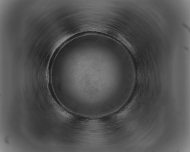 X0000093481028200710121441