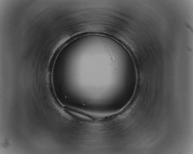 X0000093481029200710121441