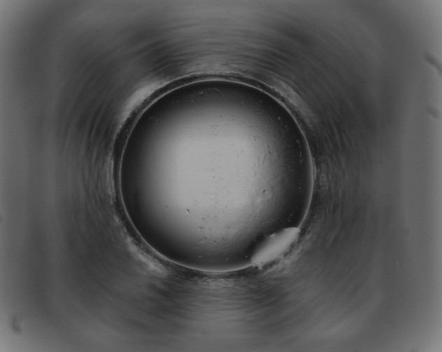 X0000093481030200710121441