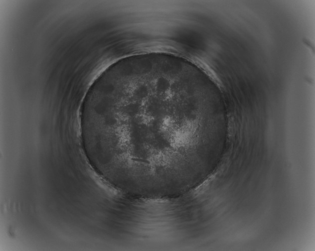 X0000093481031200710121441