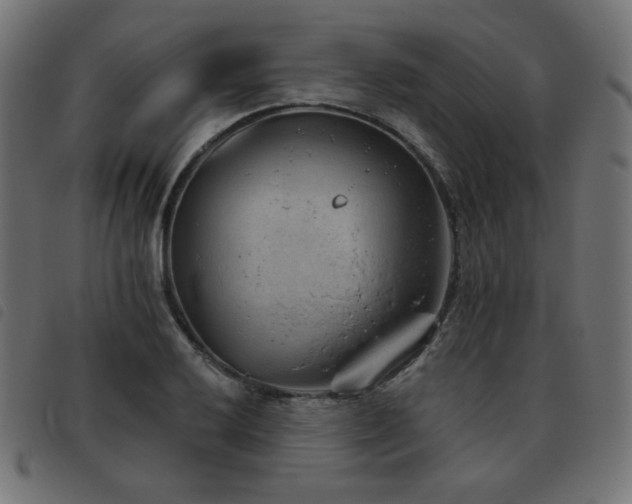 X0000093481032200710121441