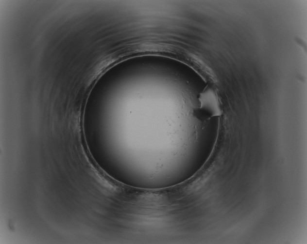 X0000093481033200710121441