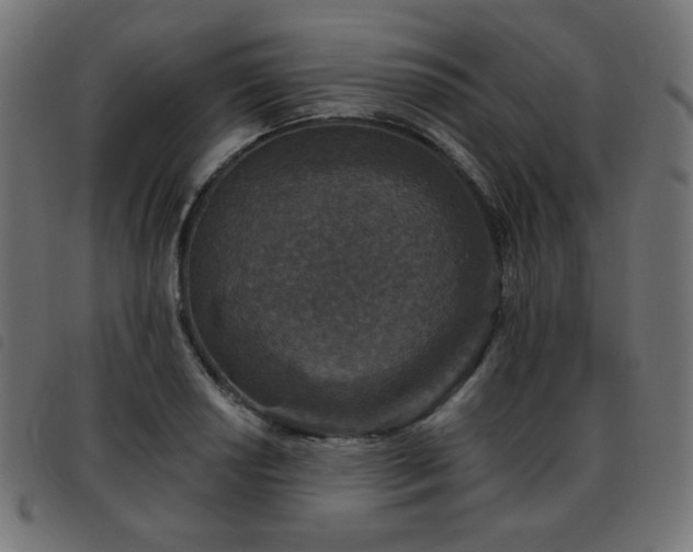 X0000093481034200710121441