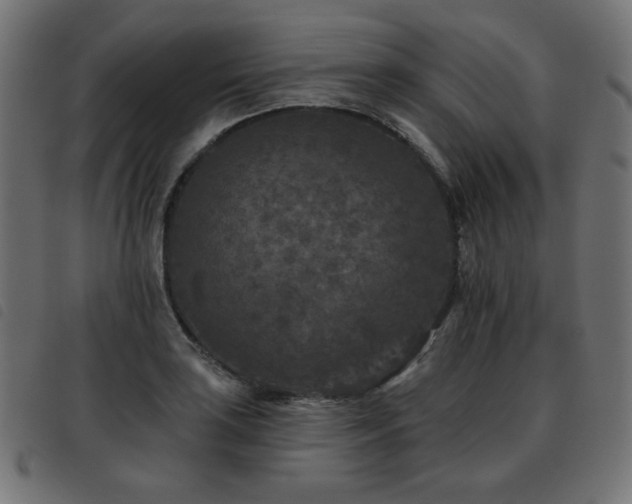 X0000093481035200710121441