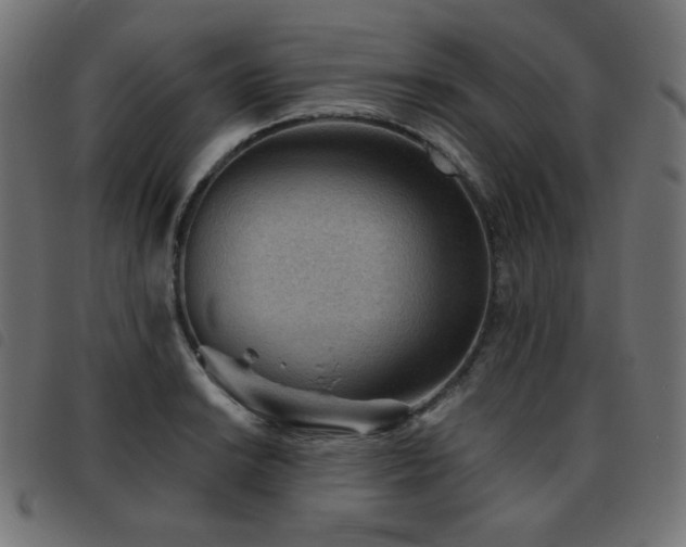 X0000093481038200710121441
