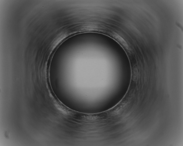 X0000093481039200710121441