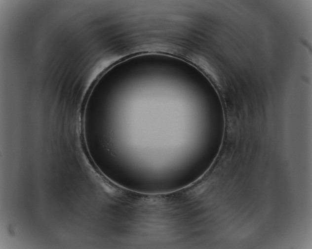 X0000093481040200710121441